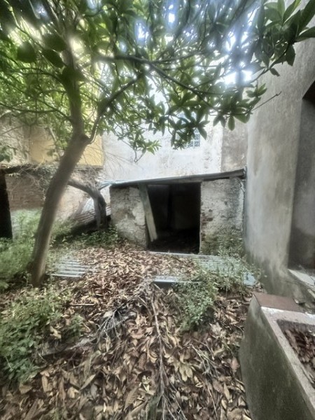 img-property