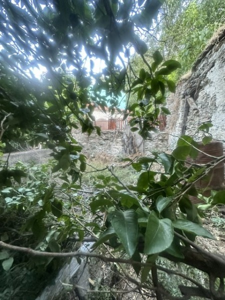 img-property