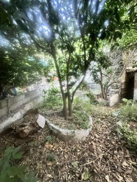 img-property