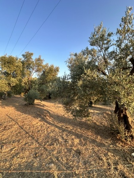 img-property