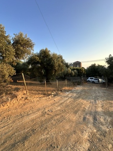 img-property