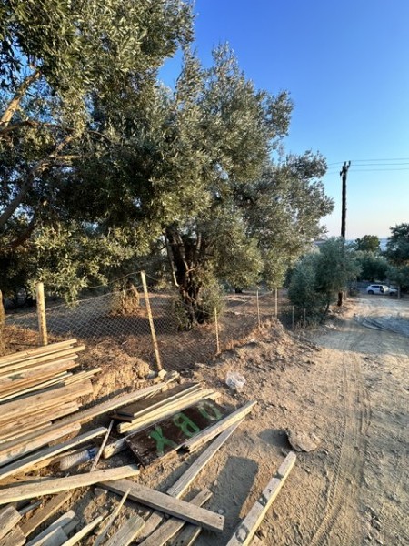 img-property