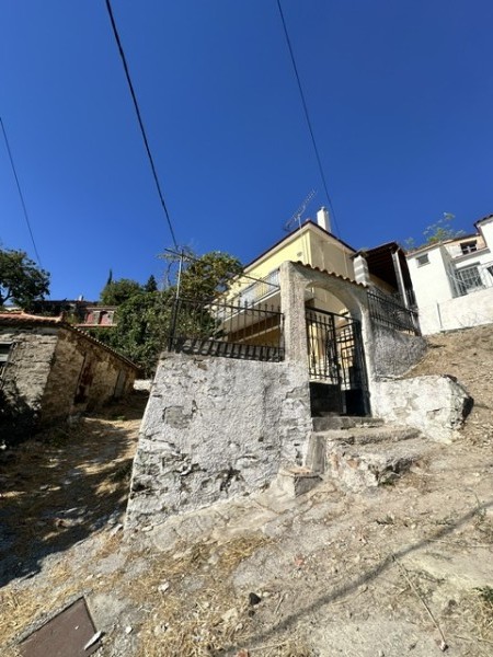 img-property