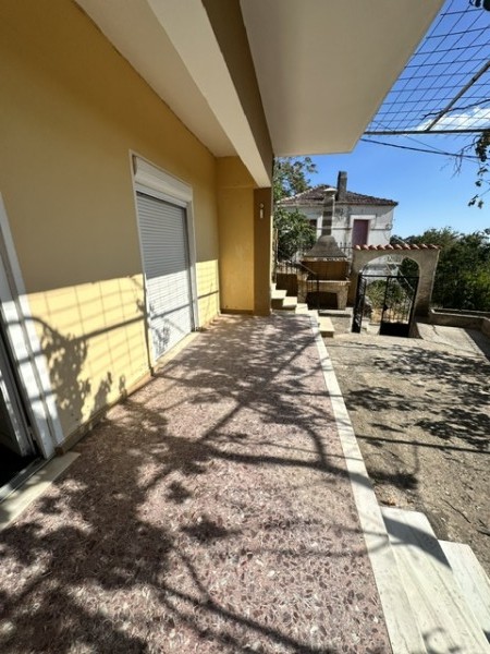 img-property