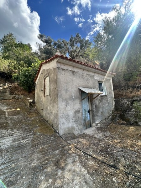 img-property